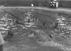 Staff water polo game vs students. Mr. Bird, Mr. Zauitz, Mrs. Kennedy and Miss. Worral (62kb)